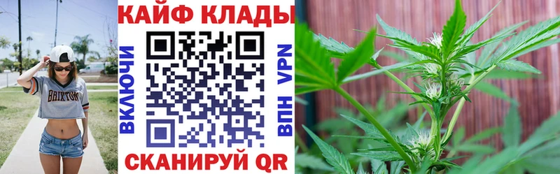 Какие есть наркотики Губаха Амфетамин  МЕФ  ГАШ  блэк спрут как зайти  Канабис 