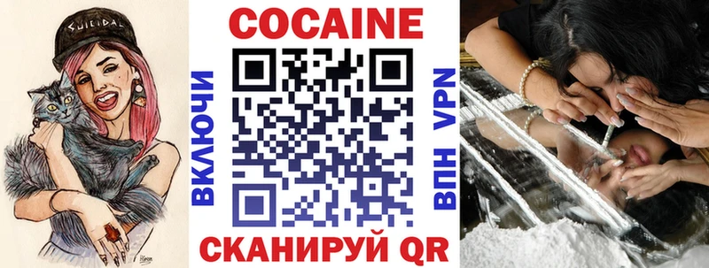 сколько стоит  Губаха  МЕГА   COCAIN 99% 