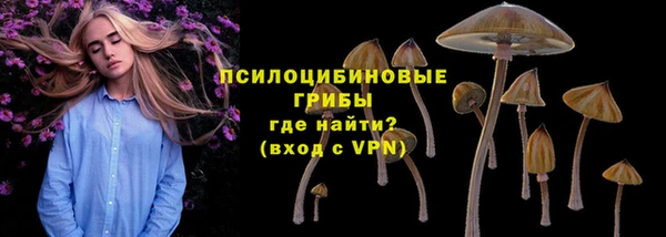 apvp Аркадак