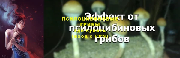 apvp Аркадак