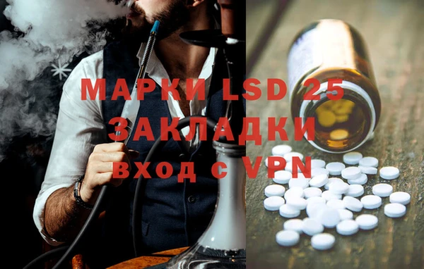 apvp Аркадак