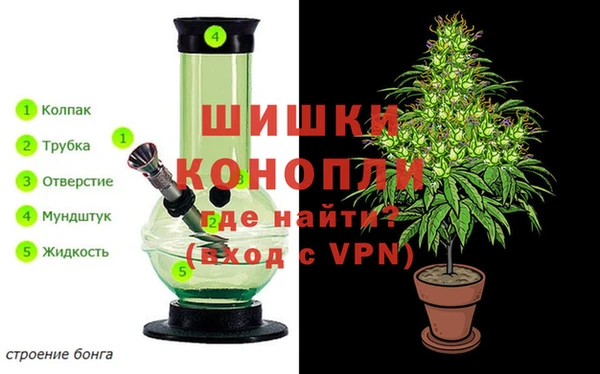 стафф Армянск