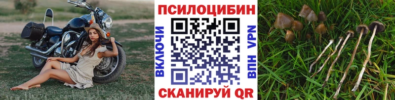 Псилоцибиновые грибы ЛСД Губаха